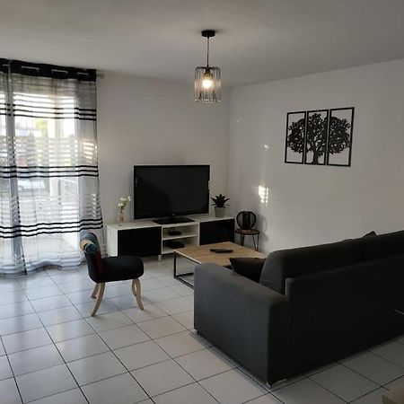 Spacieux Et Joli Appartement De 2 A 4 Personnes • Parking • Wifi Fenouillet  외부 사진