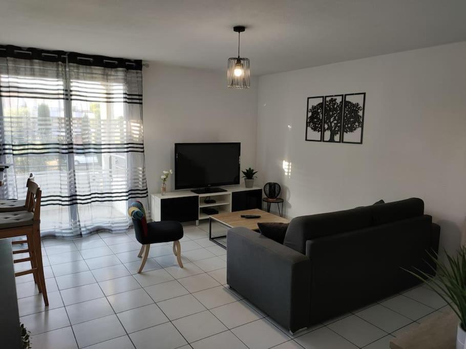 Spacieux Et Joli Appartement De 2 A 4 Personnes • Parking • Wifi Fenouillet  외부 사진