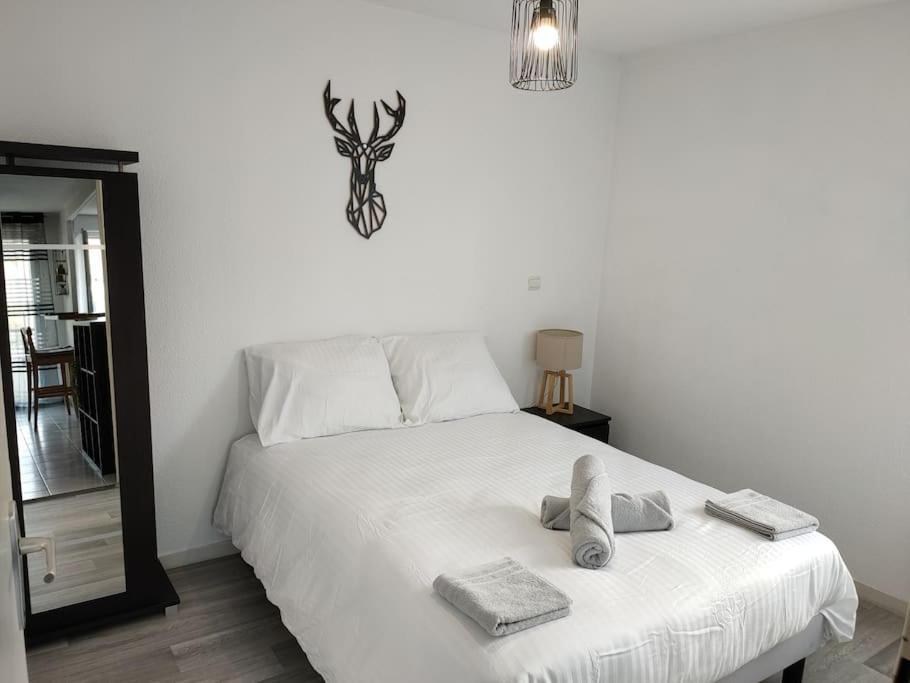 Spacieux Et Joli Appartement De 2 A 4 Personnes • Parking • Wifi Fenouillet  외부 사진